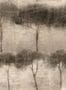 17029_4_Coordonné_Ourika_Trees_B00415-144680