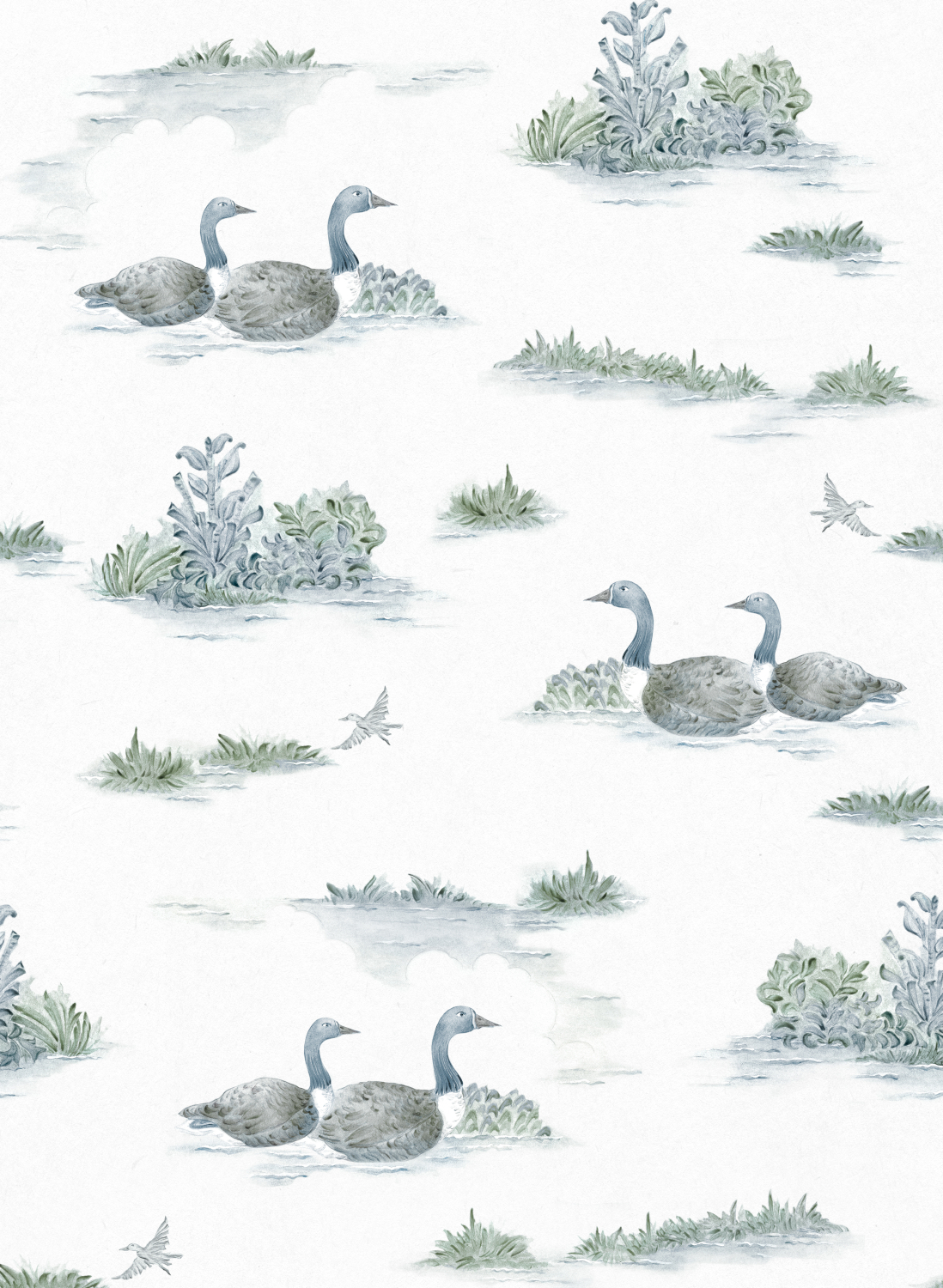 Tapete Mallard Duck - Aqua