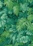 3568_2_cole-and-son_royal-fernery_113-3009-29933