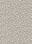 6673_2_Boras_Skogsblomst_3267-80291
