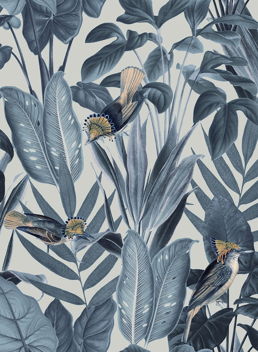 Tapete Birds of Paradise - Nightfall
